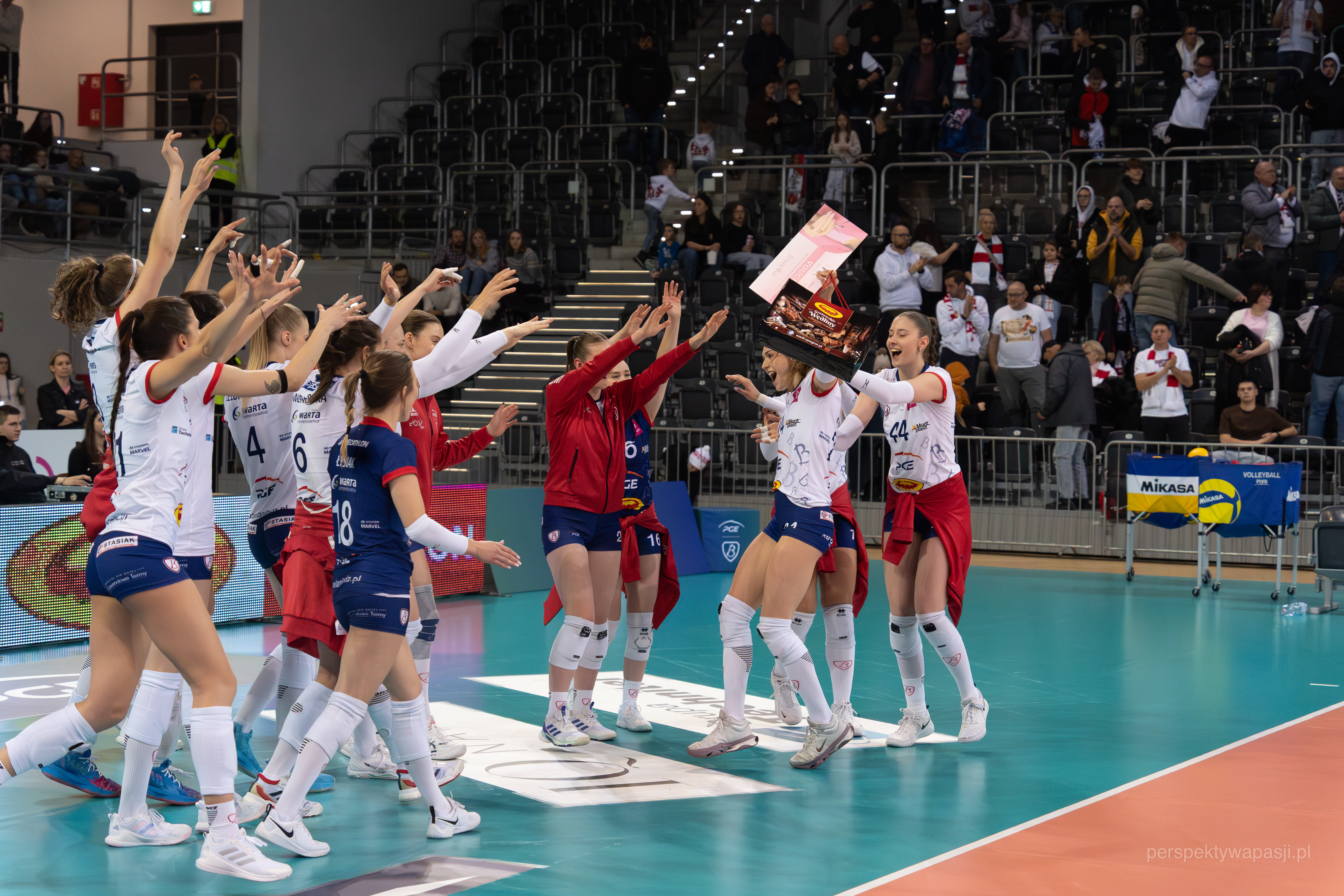 Siatkówka — zespół w akcji